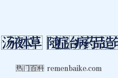 汤液本草·随症治病药品造句是什么意思的图片